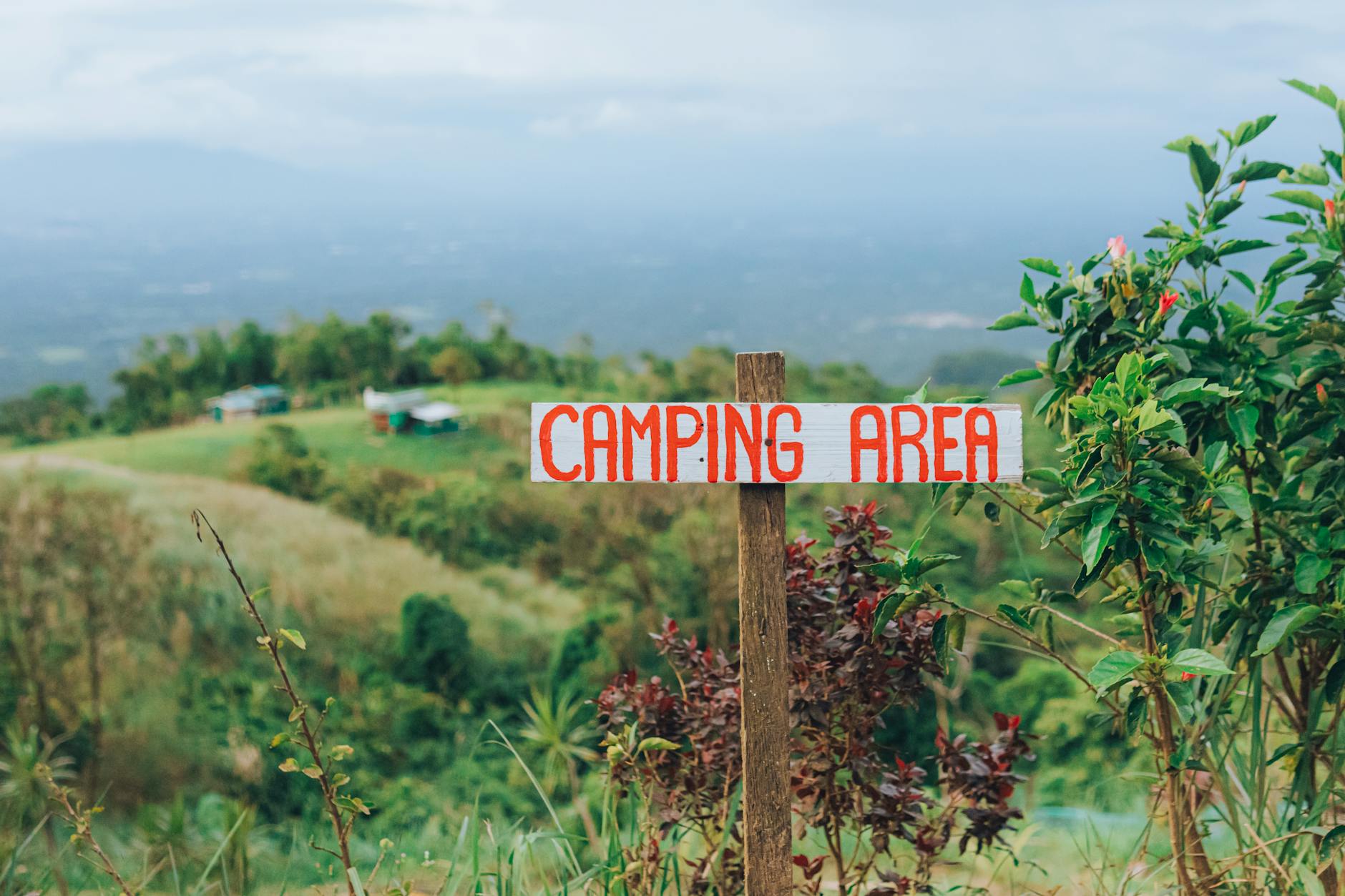 Pole namiotowe otoczone zielenią z widokiem na górskie szczyty