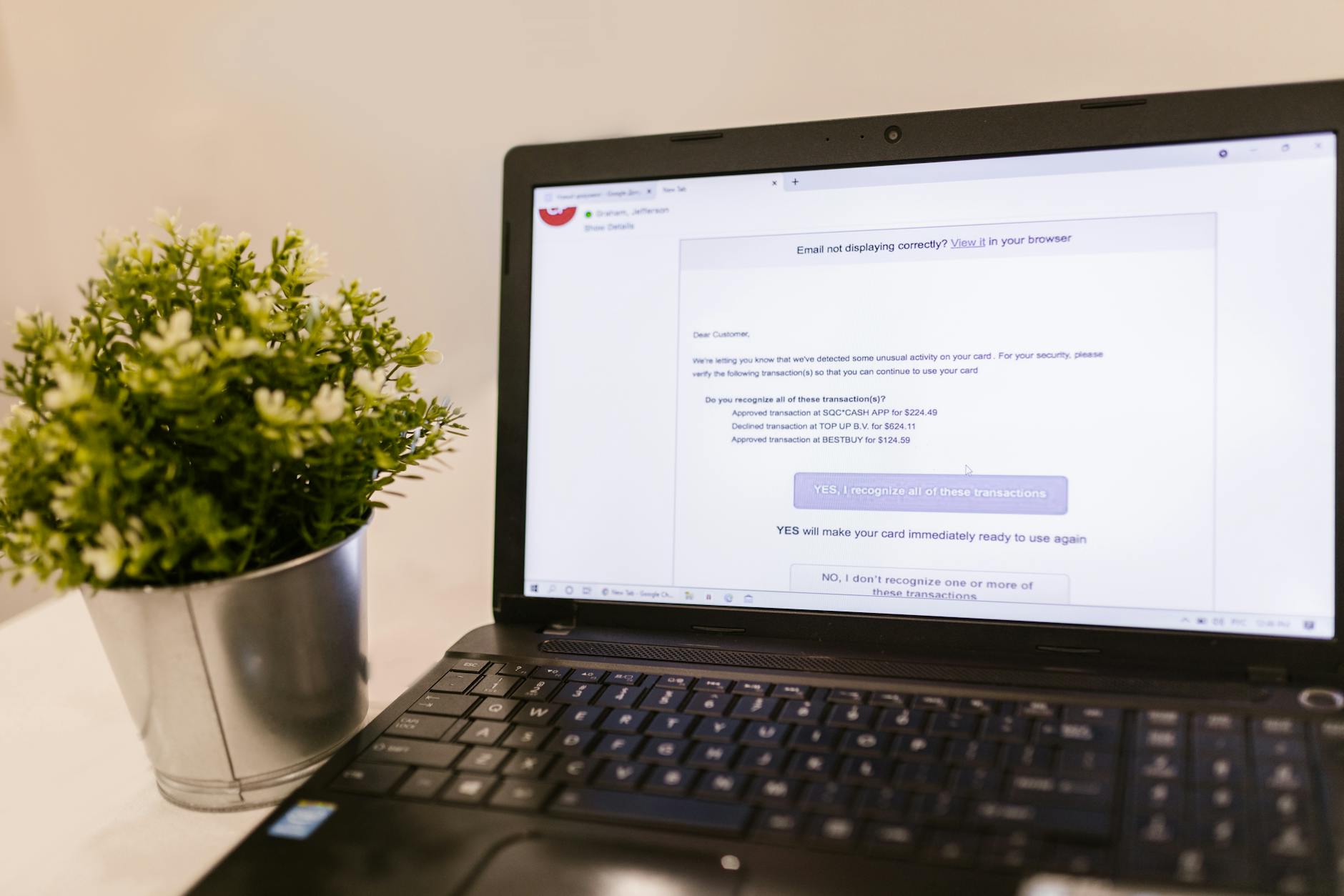 Laptop z otwartym mailem ustawiony obok zielonej rośliny